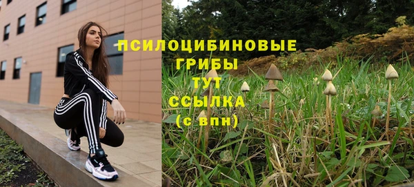 прущая мука Алзамай