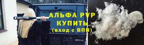 сатива Абинск