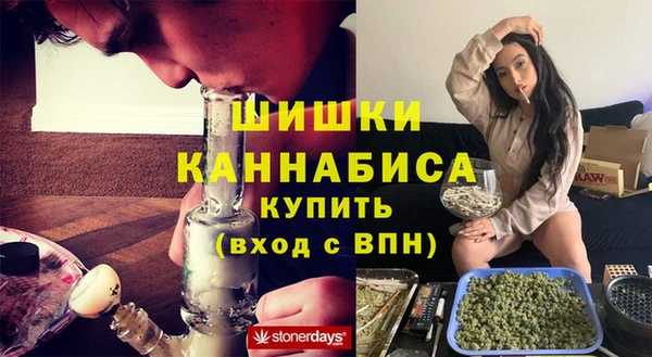 сатива Абинск