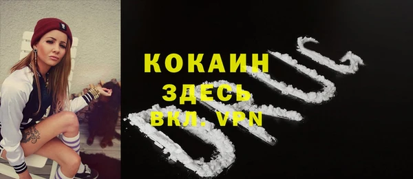 сатива Абинск