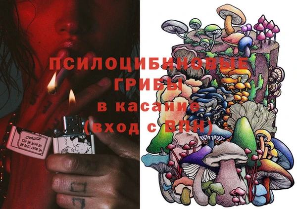сатива Абинск