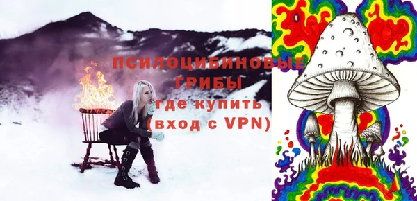 герыч Алексин