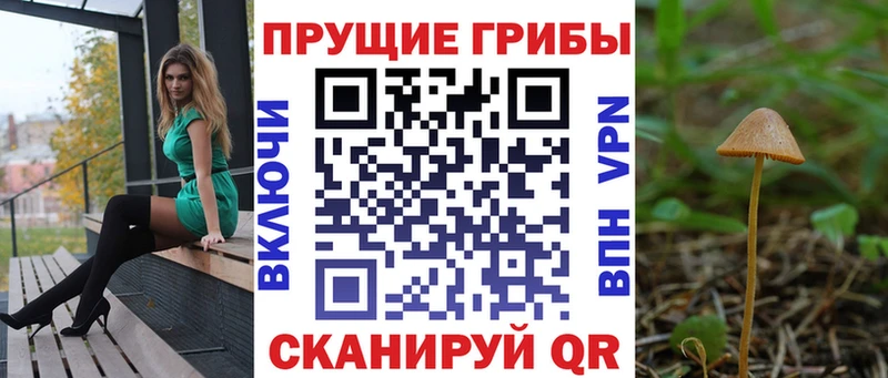 мега ТОР  Тавда  Псилоцибиновые грибы MAGIC MUSHROOMS 